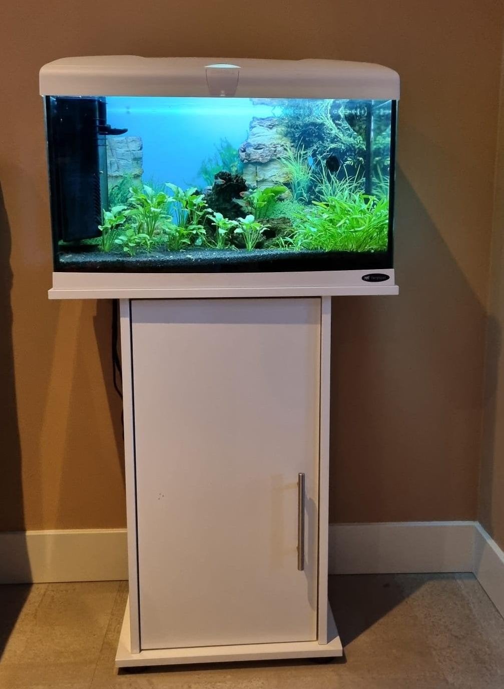 Aquarium met bijbehorende aquariumkast incl toebehoren, Ophalen, Overige merken, Inclusief vissen, Gevuld zoetwateraquarium