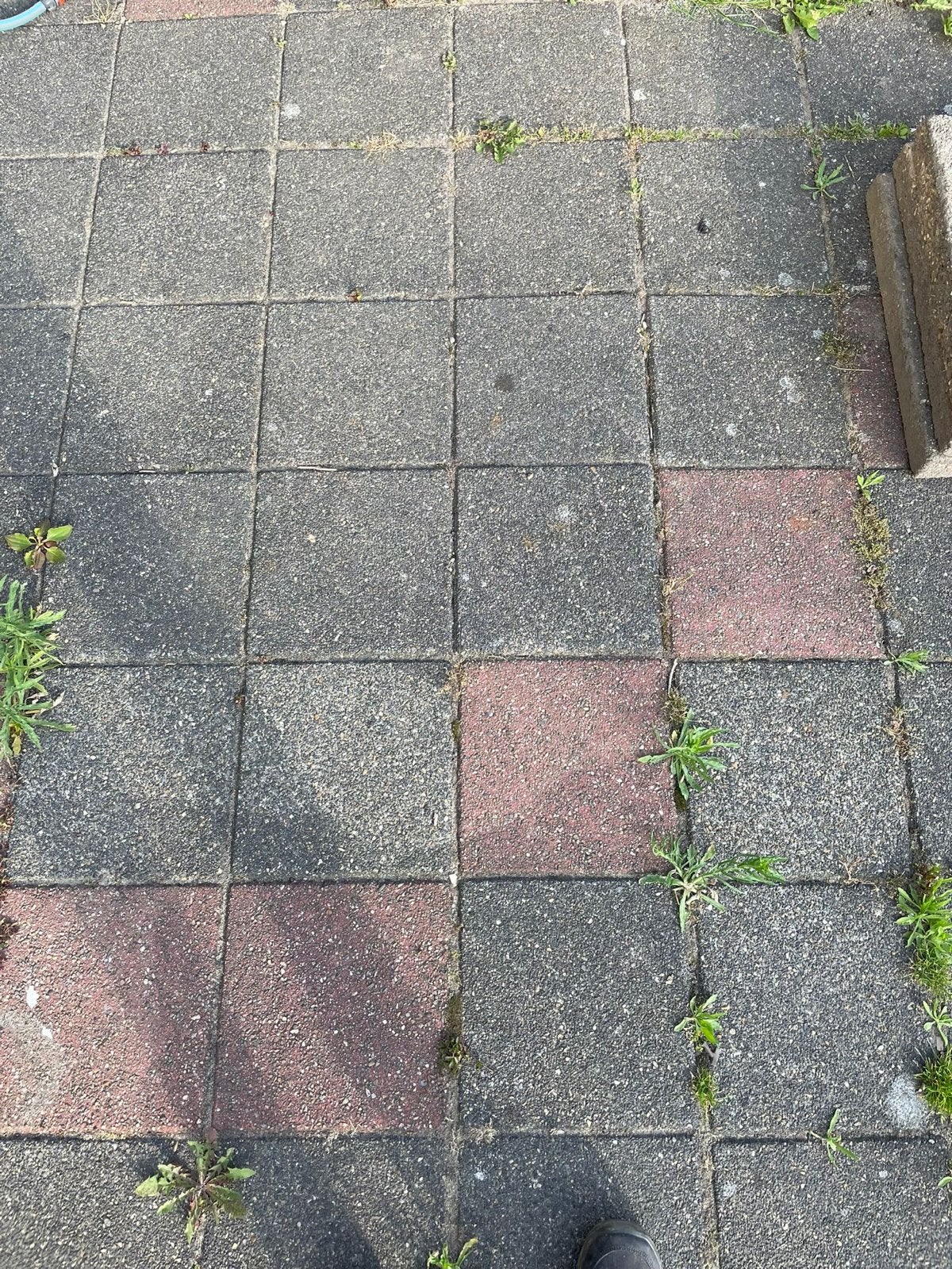 Gebruikte betontegels voor terras of pad, Tuin en Terras, Tegels en Klinkers, Ophalen, Gebruikt, 10 m² of meer, Beton