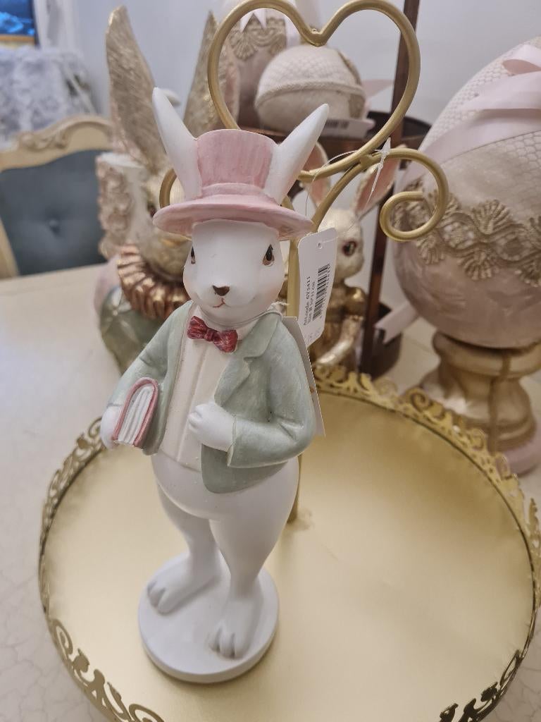 Nieuw beeldje konijn met boek Clayre & Eef, Heikant 21 Kaatsheuvel, Belle Vieille Brocante, Nieuw, Ophalen of Verzenden