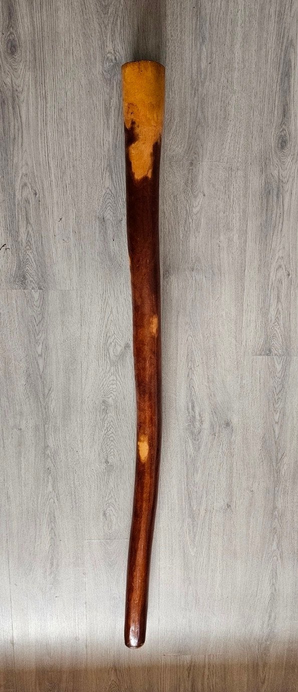 Didgeridoo eucalyptus hout, Muziek en Instrumenten, Blaasinstrumenten | Didgeridoos, Ophalen of Verzenden