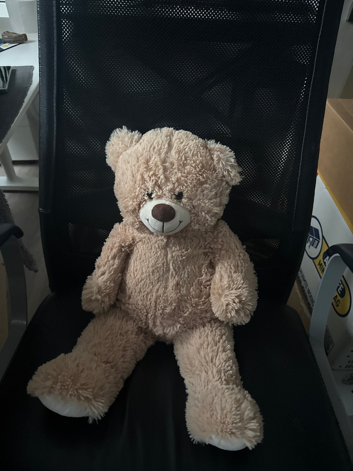 knuffelbeer, Beer, Ophalen of Verzenden, Zo goed als nieuw, Middelgroot (20 tot 80 cm)