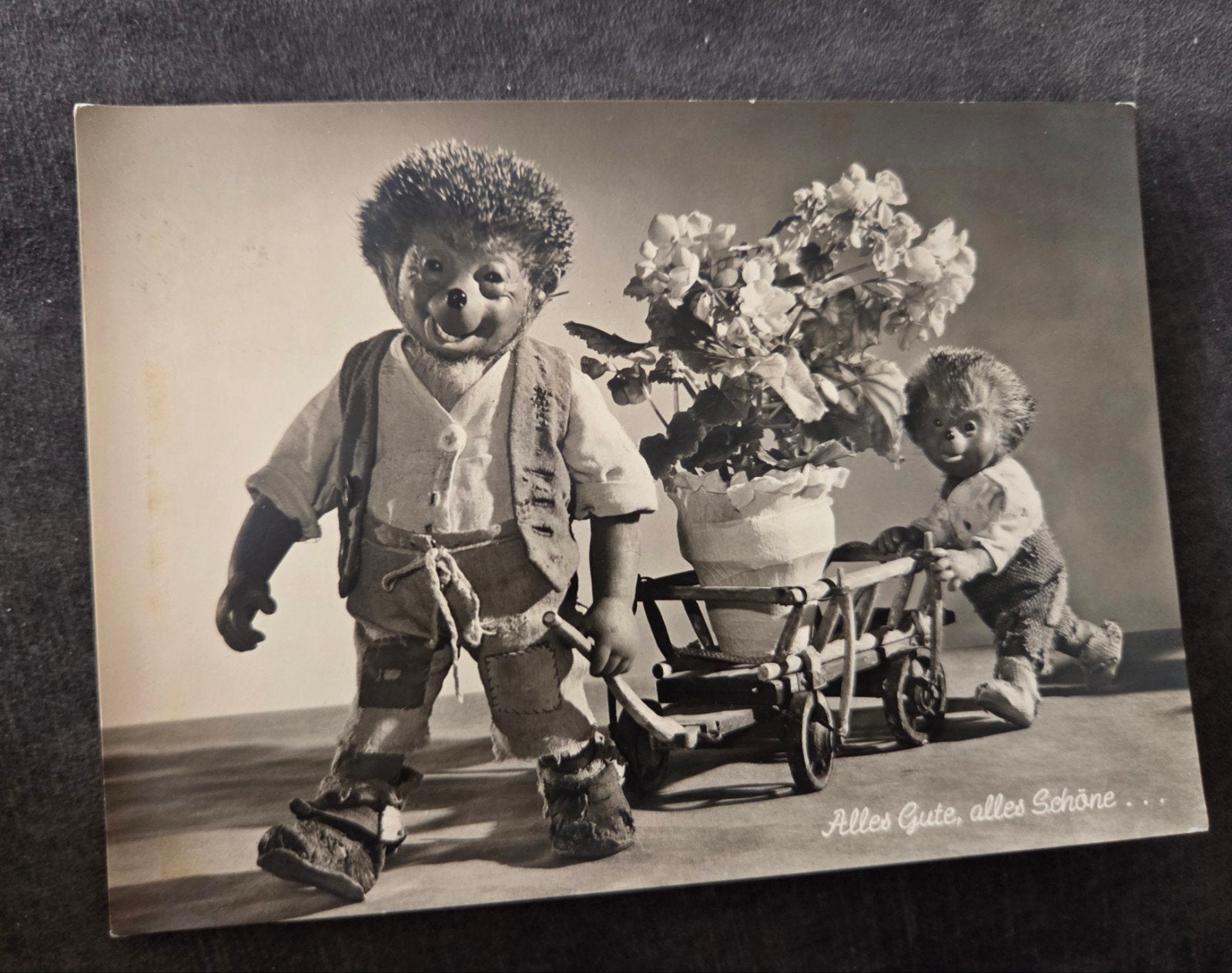 Egeltjes met bloemenkar (1970), Verzenden, 1960 tot 1980, Gelopen, Kinderen