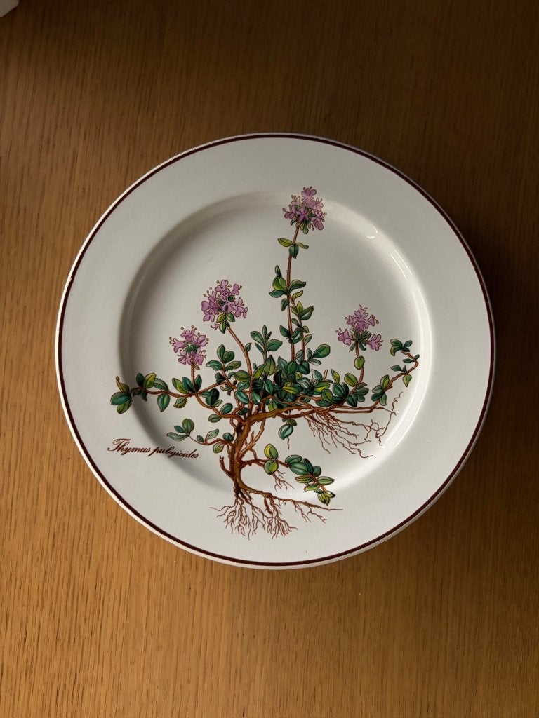 Villeroy & Boch Botanica ontbijtborden (6 stuks), Gebruikt, Villeroy & Boch, Ophalen of Verzenden, Overige stijlen
