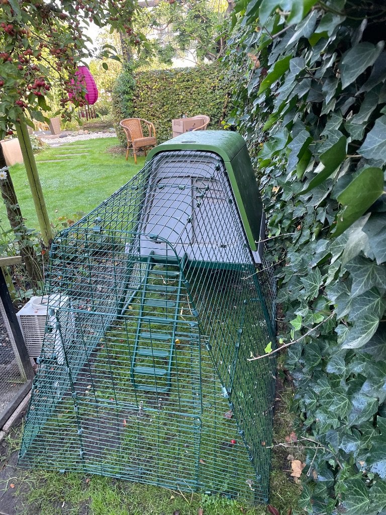 Kippenhok van kunststof - Merk Omlet Eglu Go, Dieren en Toebehoren, Ophalen, Gebruikt, Kippenhok of Kippenren