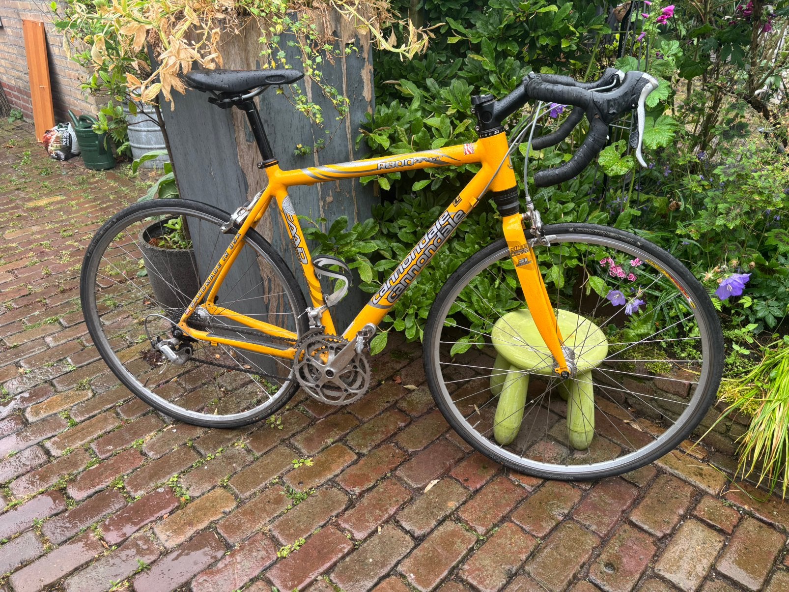 Aluminium Cannondale racefiets 54 cm met 27 versn., Aluminium, Meer dan 20 versnellingen, 53 tot 57 cm, Ophalen