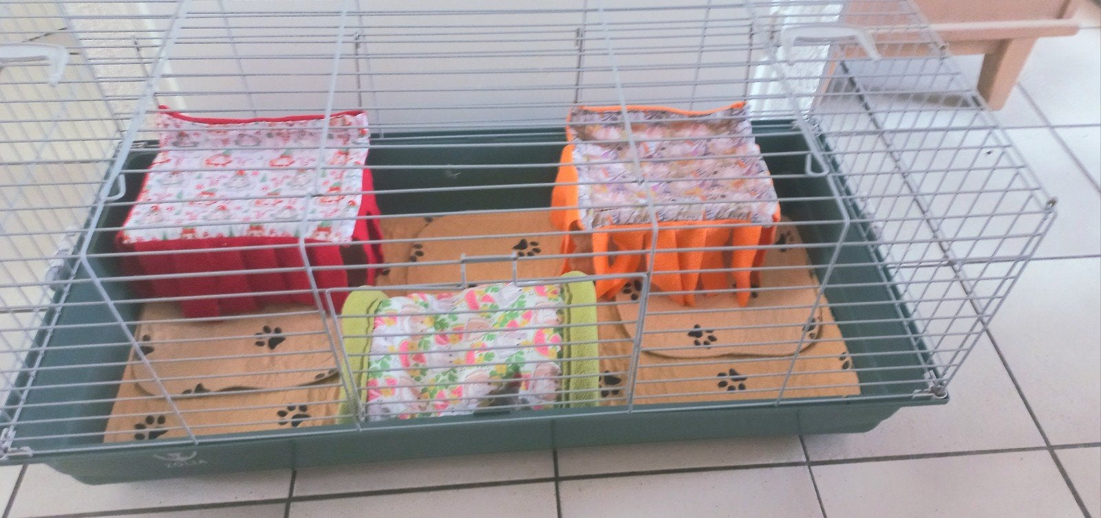Caviakooi met vloerbedekking, hangmatjes en tunnel, Ophalen, Kooi, Minder dan 60 cm
