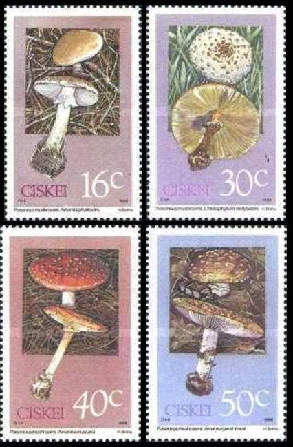 CISKEI 1988 Paddenstoelen, Michel: 145-48, Postfris., Verzenden, Postfris, Dier of Natuur