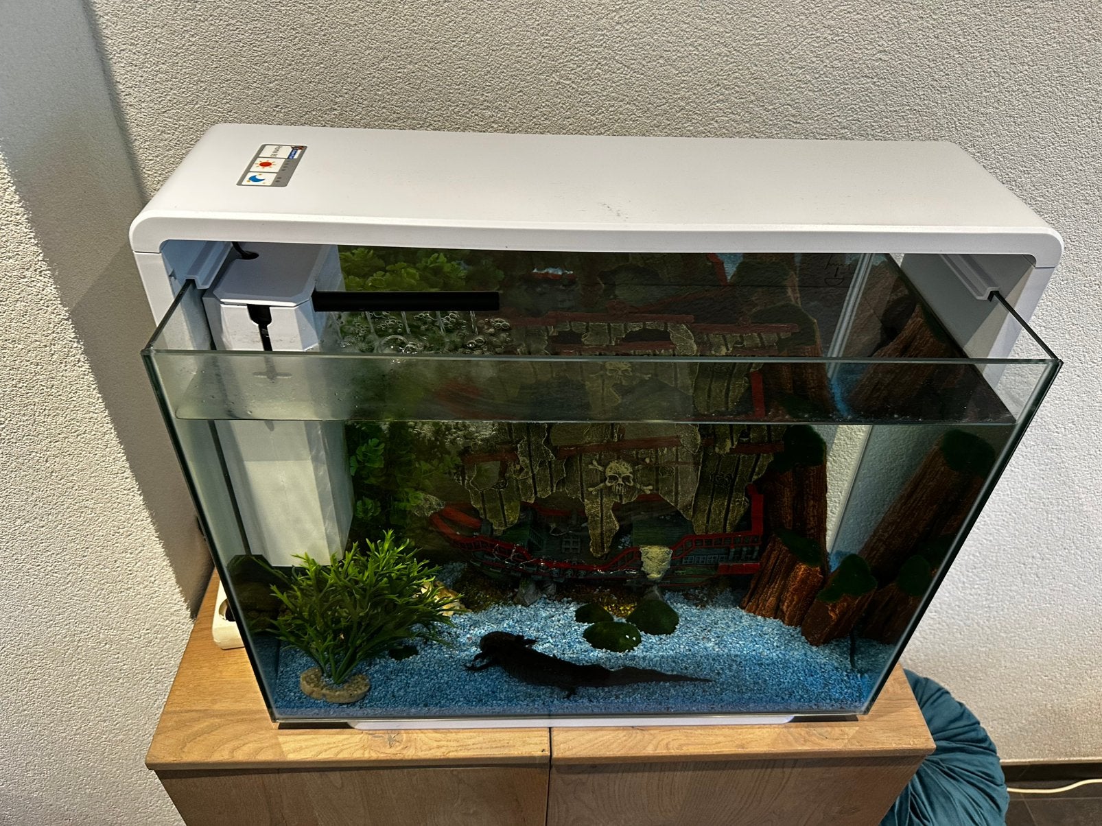 Superfish home 85 aquarium incl. Inhoud en axolotl 1 jaar, Ophalen, Zo goed als nieuw, Leeg aquarium