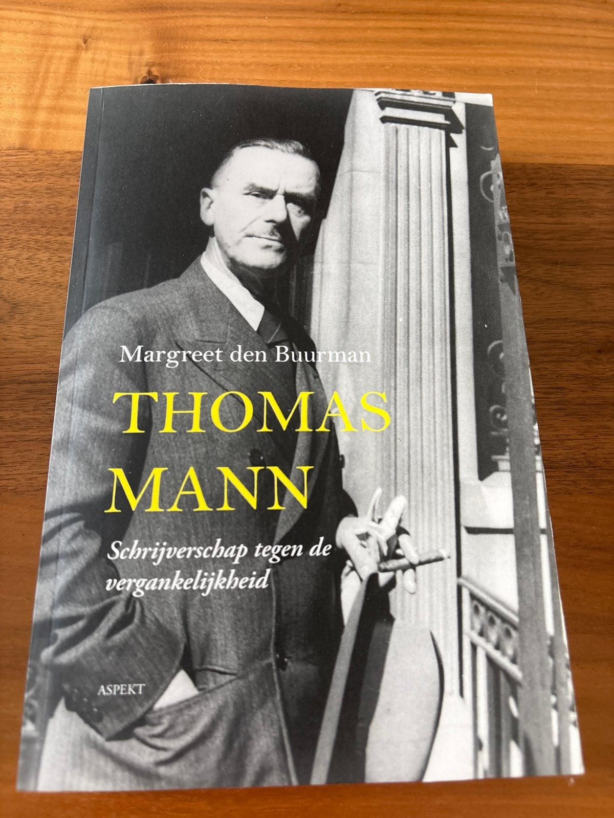 Thomas Mann: Schrijverschap tegen de vergankelijkheid, Boeken, Ophalen of Verzenden, Zo goed als nieuw, Nederland