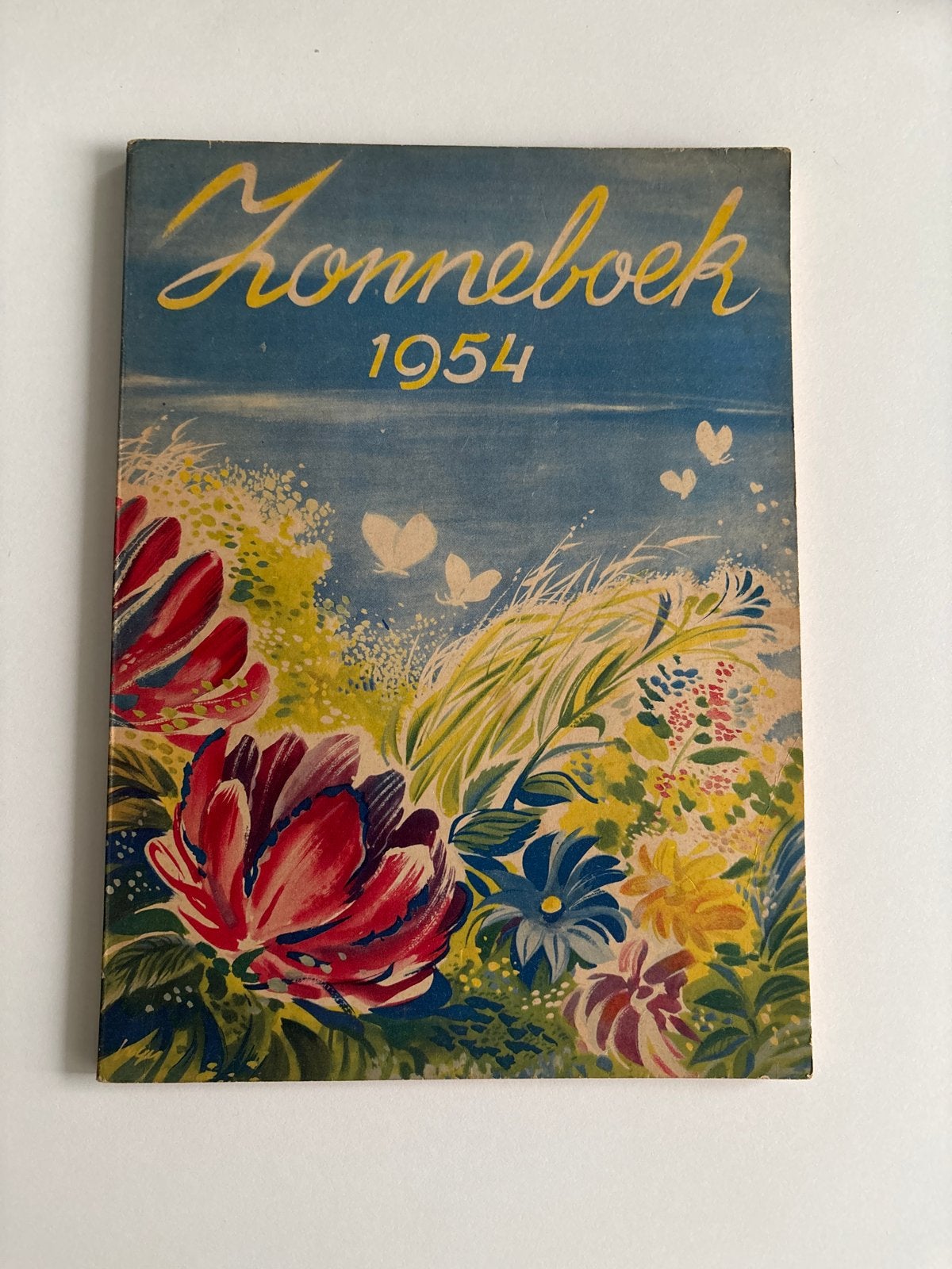 Zonneboek 1954 - Katholiek Jaarboek voor Jeugd en Gezin, Boeken, Ophalen of Verzenden, Gelezen, Non-fictie