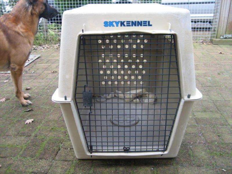 reiskennel grote hond, Dieren en Toebehoren, Ophalen, Zo goed als nieuw