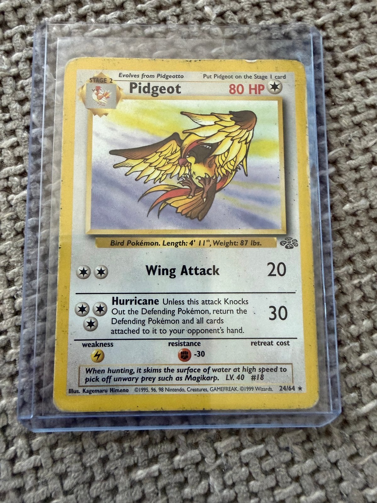 Pidgeot (Base Set 24/64), Ophalen of Verzenden, Gebruikt, Losse kaart