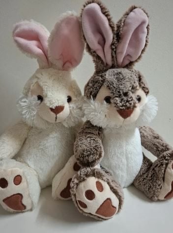 2 hazen knuffels, Overige typen, Ophalen of Verzenden, Nicotoy, Met label