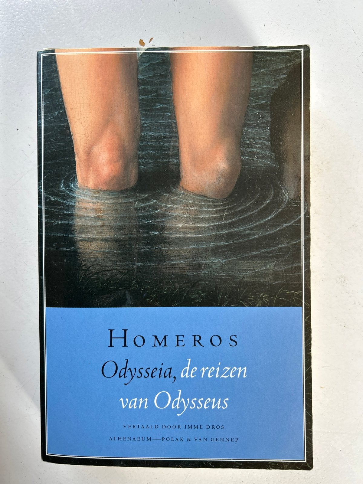 Homerus - Odysseia, de reizen van Odysseus, Boeken, Literatuur, Zo goed als nieuw, Nederland, Ophalen of Verzenden