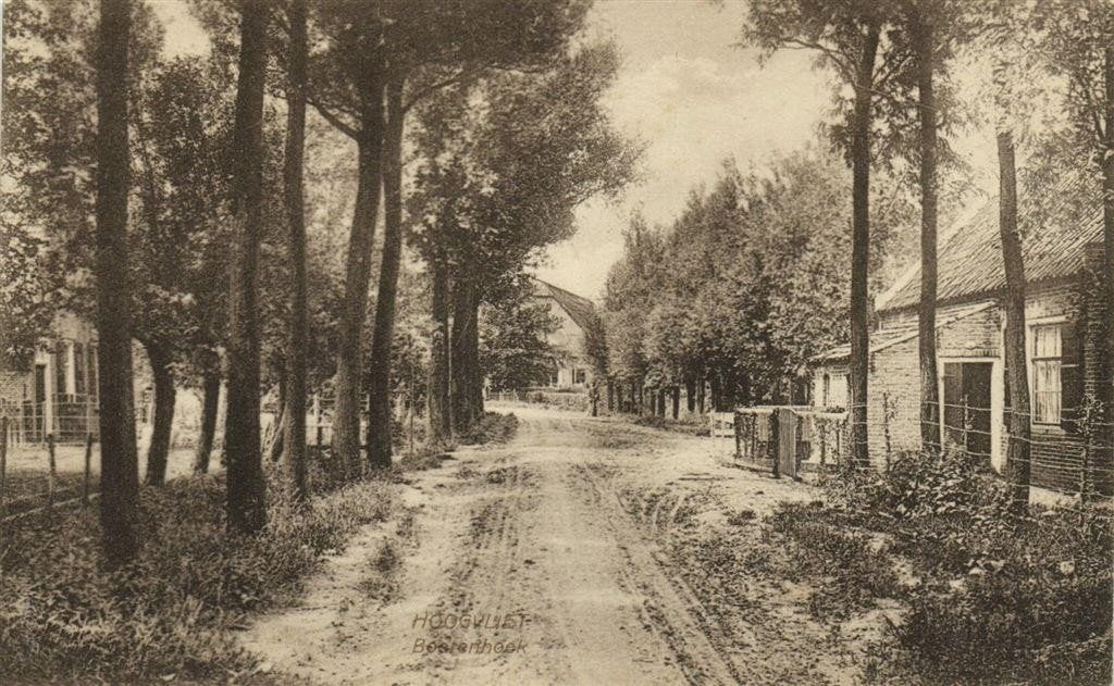 Hoogvliet. Boerenhoek - A. van Luik - ongelopen, Verzamelen, Verzenden, 1920 tot 1940, Ongelopen, Noord-Brabant