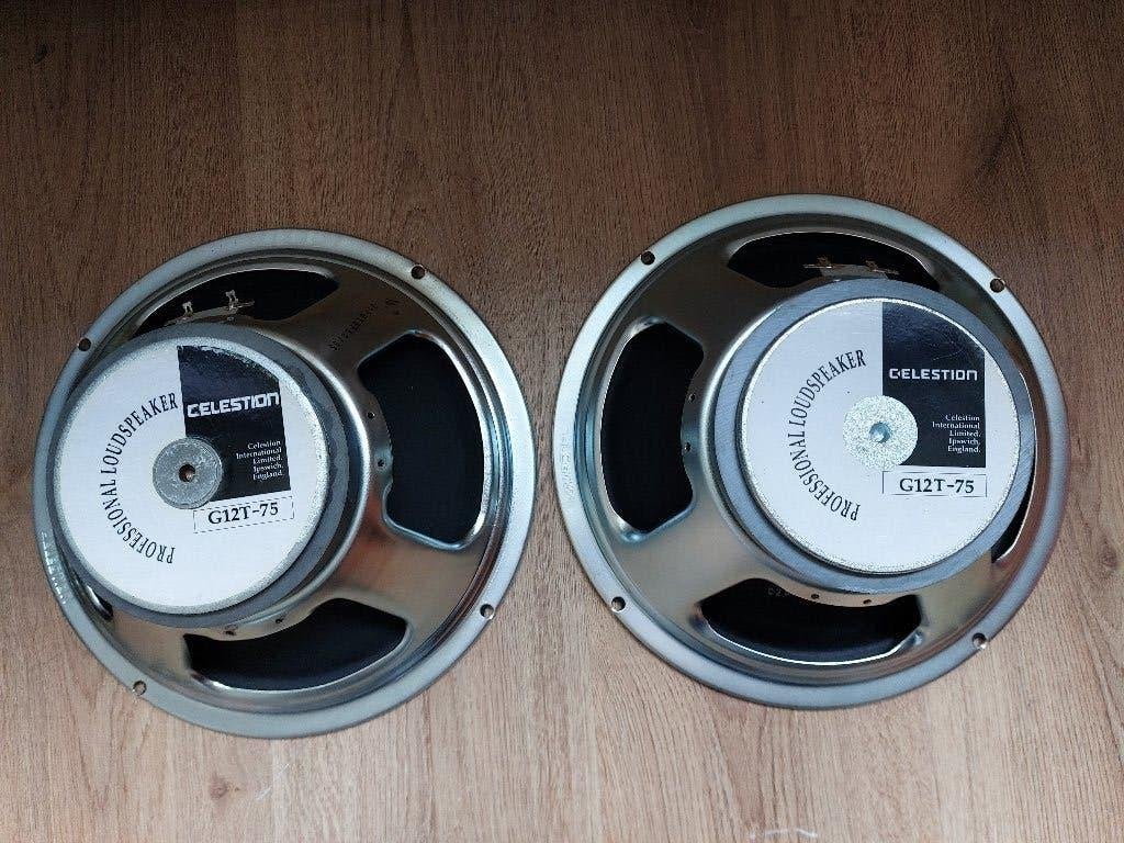 2x Celestion G12T-75 nette staat, Audio, Tv en Foto, Luidsprekers, Zo goed als nieuw, Front, Rear of Stereo speakers, 120 watt of meer