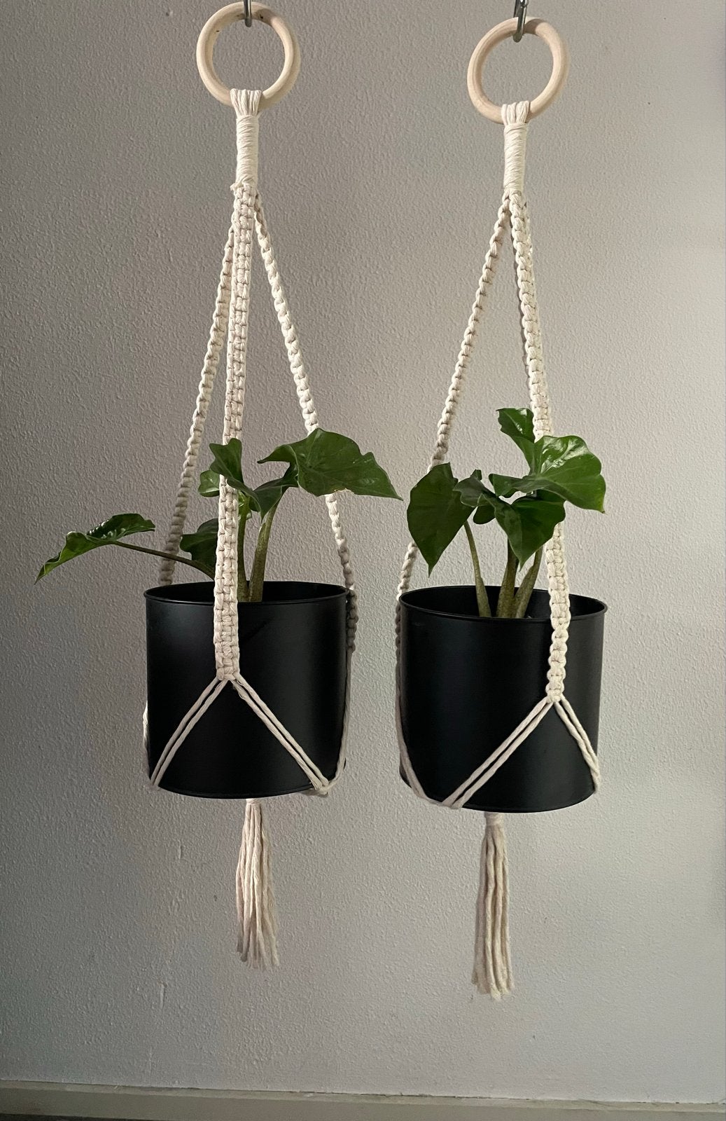 Handgemaakte macramé plantenhangers (set van 2), Beige, Boho, Nieuw, Ophalen of Verzenden