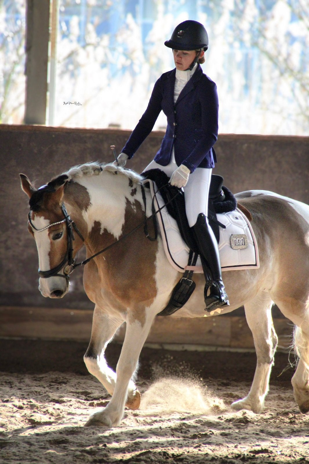 Bijrijd paard gezocht, Dieren en Toebehoren, Paarden en Pony's | Overige Paardenspullen, Ophalen