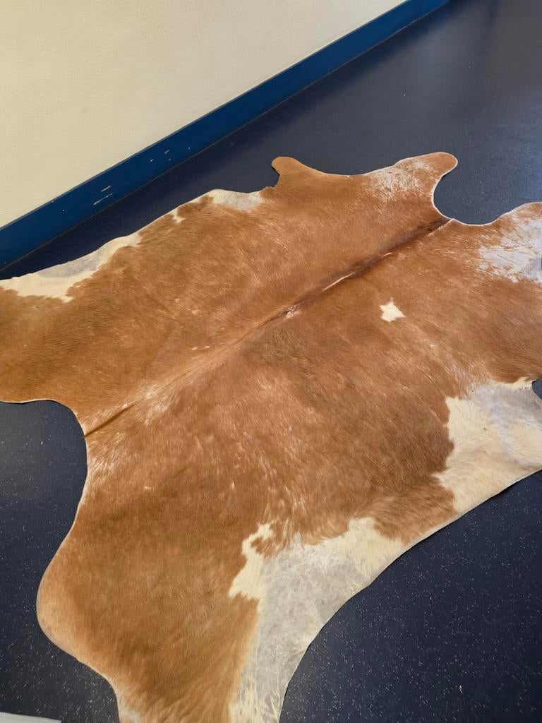 Vloer kleed koei. Huid, Ophalen of Verzenden, Zo goed als nieuw, Rechthoekig, 200 cm of meer