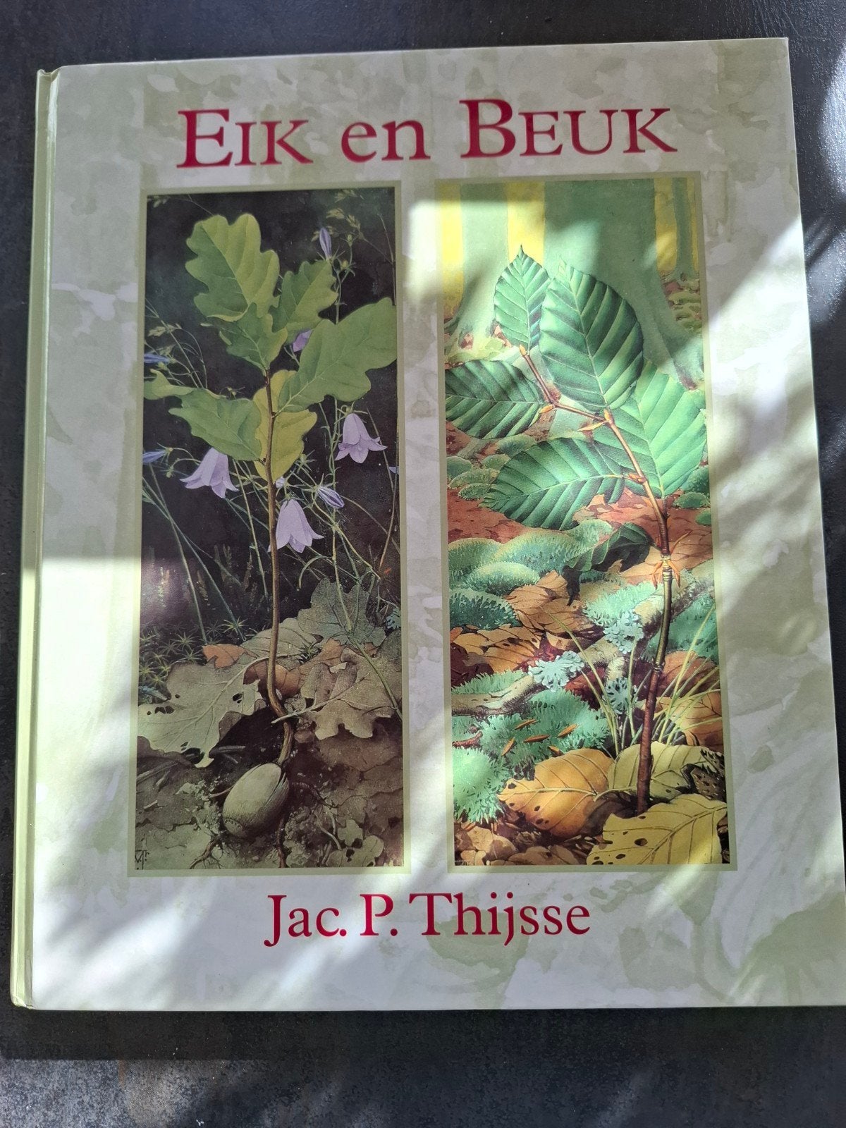 Jac P Theijsse, Eik en Beuk, Ophalen of Verzenden, Zo goed als nieuw, Jac. P. Thijsse