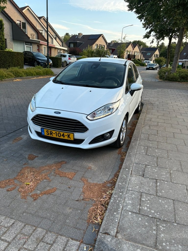 Ford Fiësta 1.0 74KW/100PK 5D automaat 2014 Wit, Stof, 40 €/maand, Zwart, 100 pk