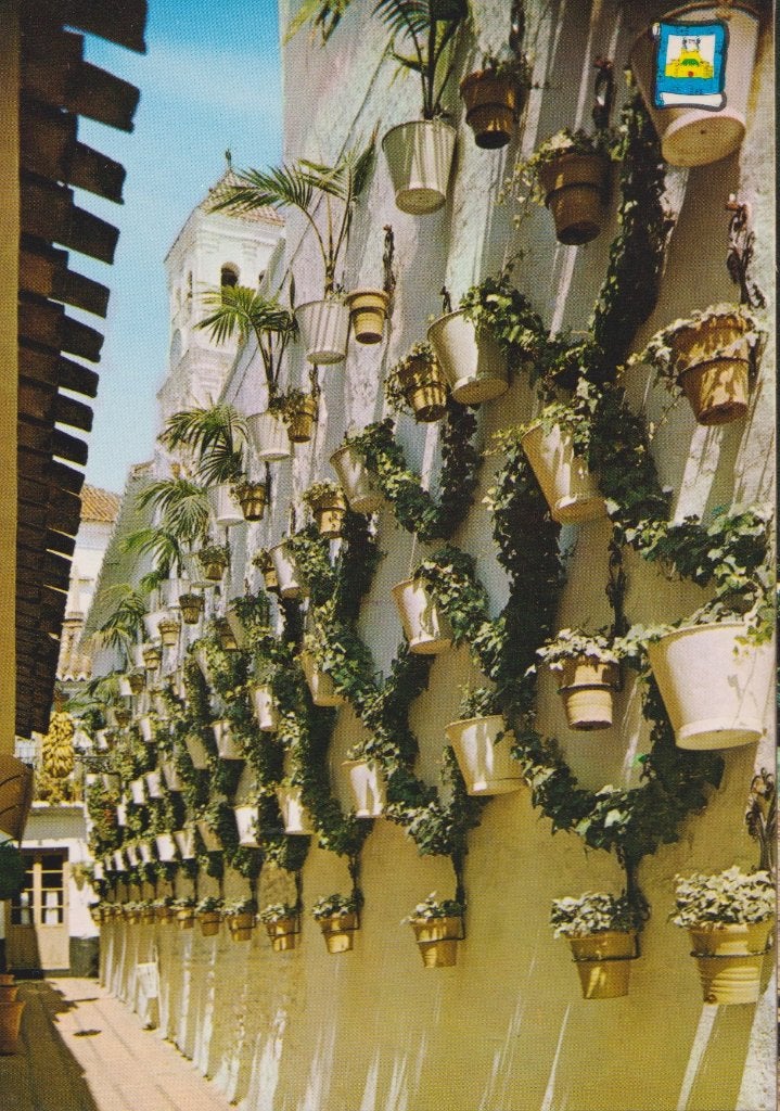 Spanje Marbella Straatje planten, Verzenden, 1960 tot 1980, Ongelopen, Gebouw