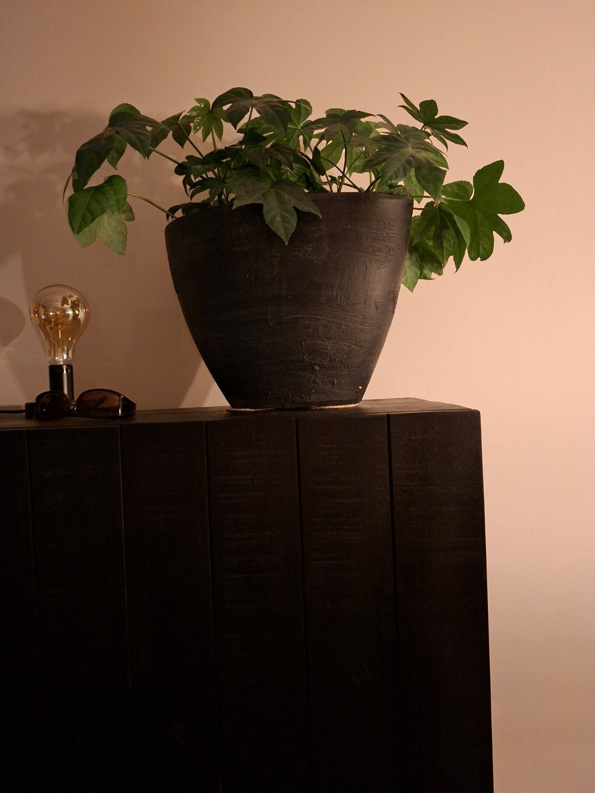 plant met pot, Huis en Inrichting, Woonaccessoires | Zuilen en Pilaren, Ophalen