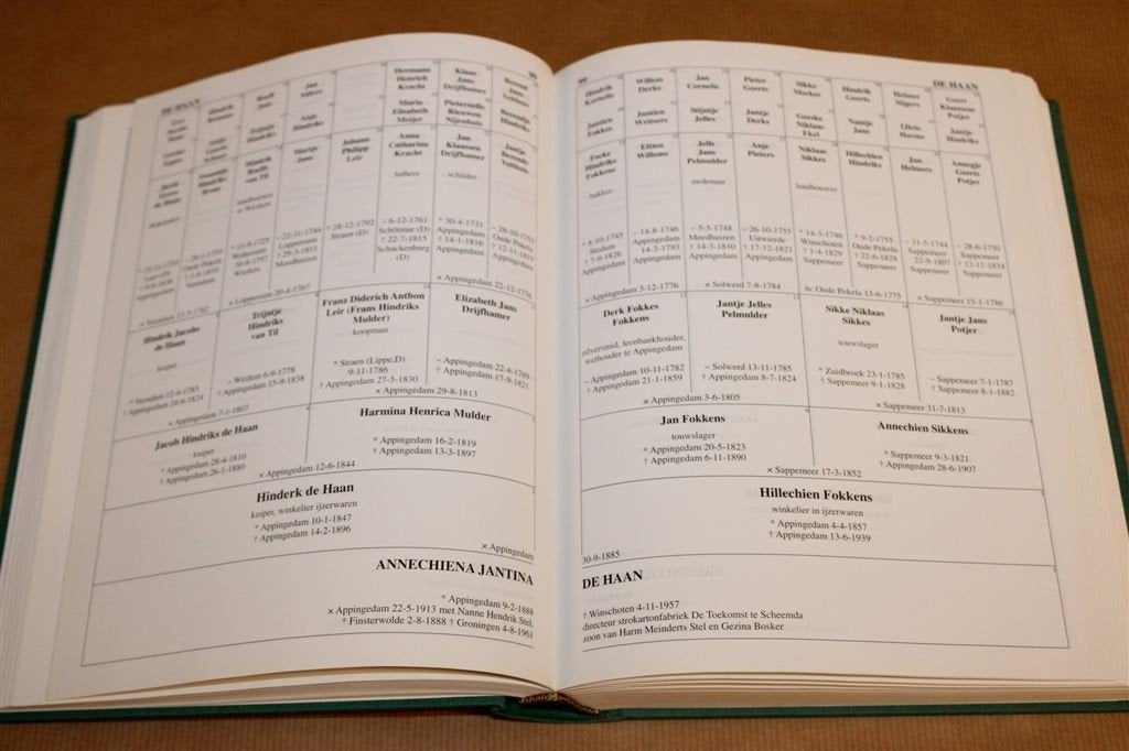 Groninger Kwartierstatenboek 3 — NGV Afdeling Groningen, Ophalen of Verzenden, Zo goed als nieuw