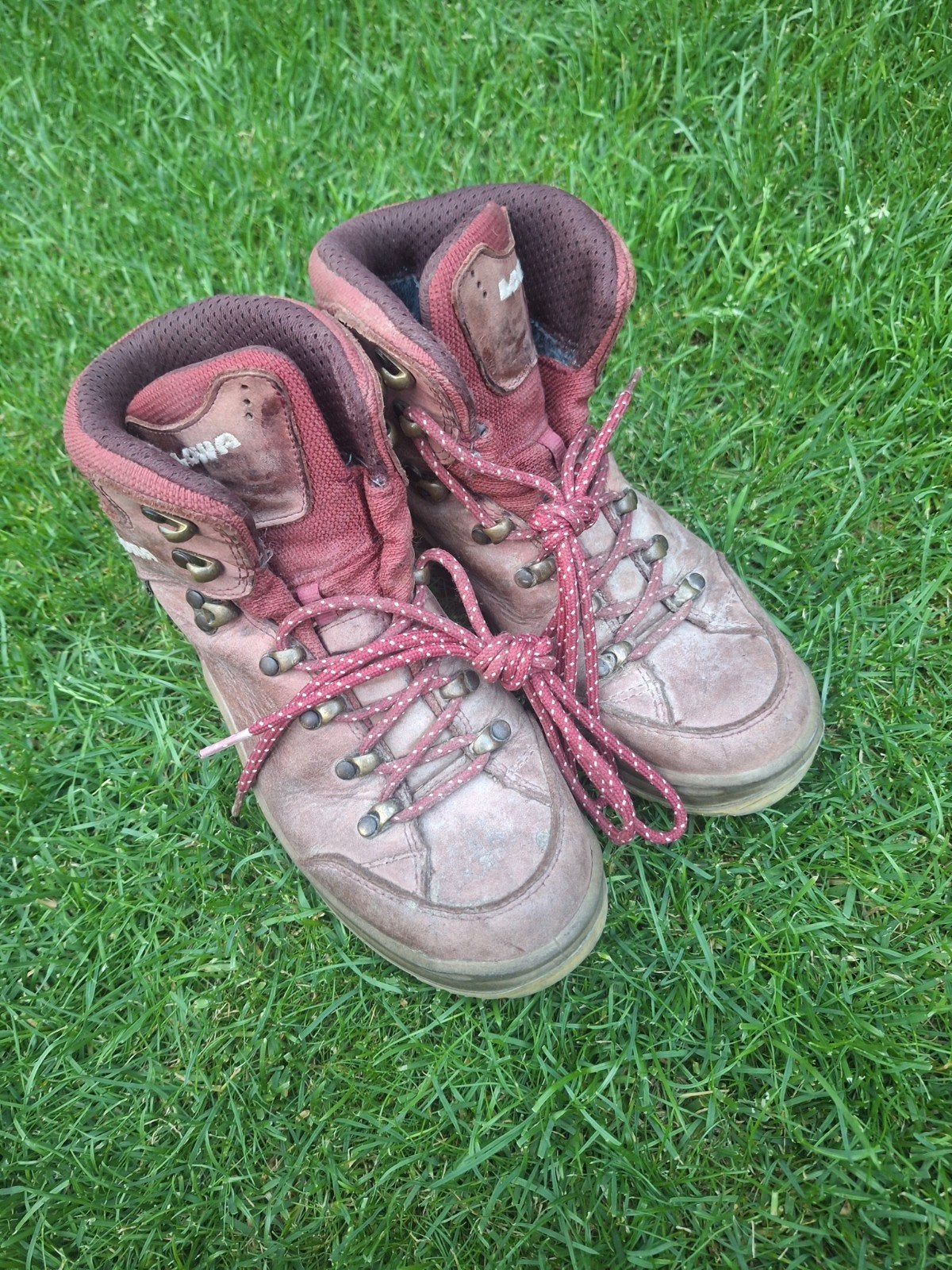 Lowa Renegade wandelschoenen dames maat 38, Ophalen, Gebruikt, Schoenen