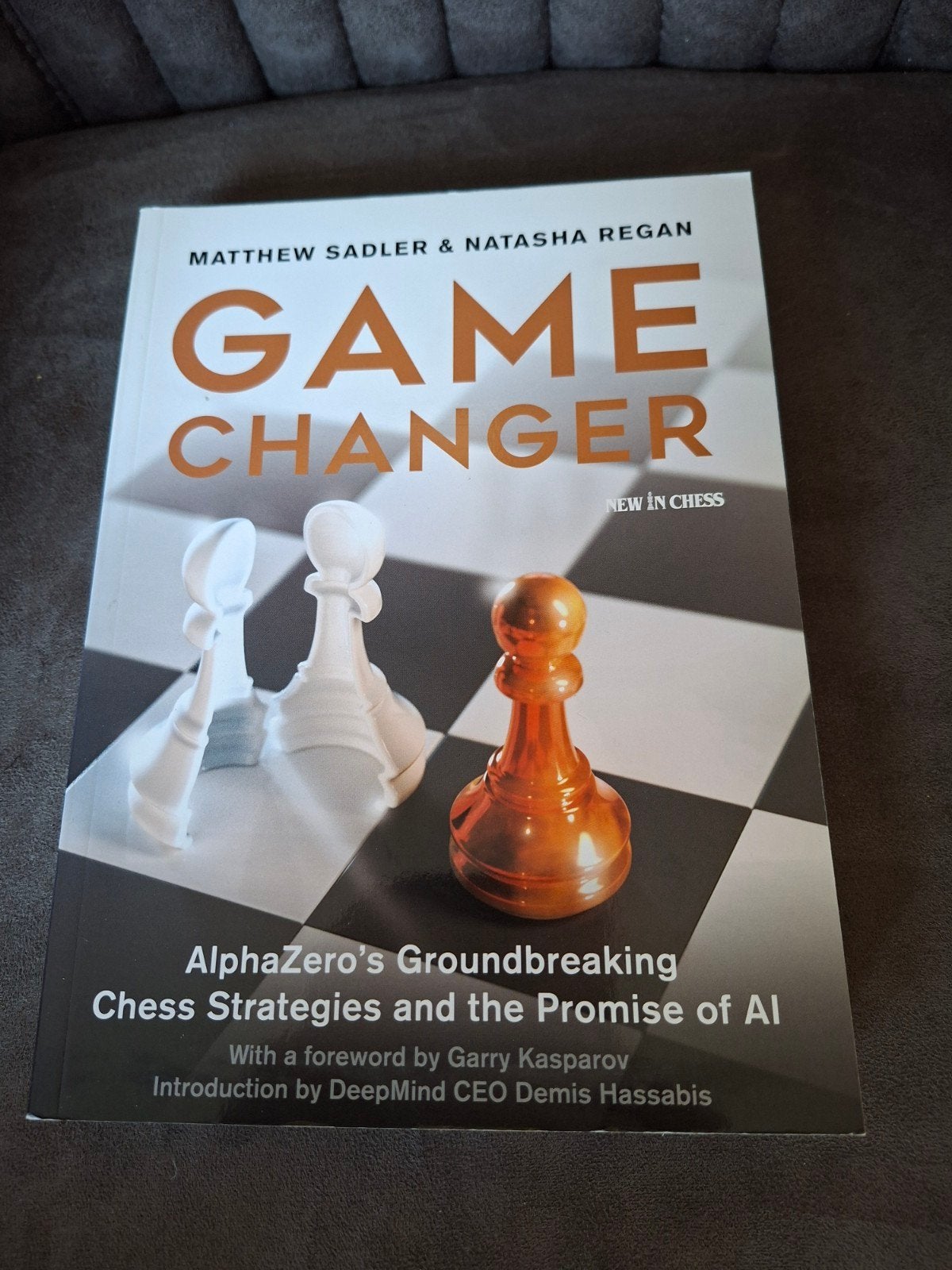 Game Changer: AlphaZero's schaakstrategieën, Boeken, Ophalen of Verzenden