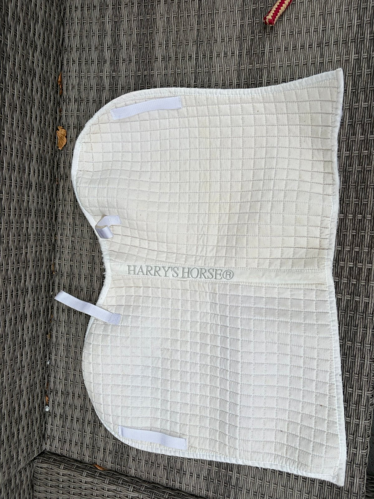 Dekje wit, Wit, Shetlander/Mini, Dressuurdekje, Ophalen of Verzenden
