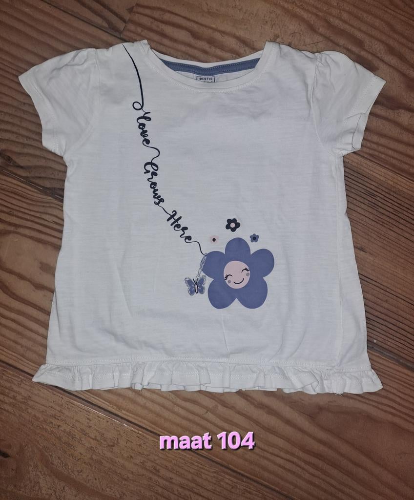 T-shirt, Meisje, Identic Nature, Ophalen of Verzenden, Zo goed als nieuw