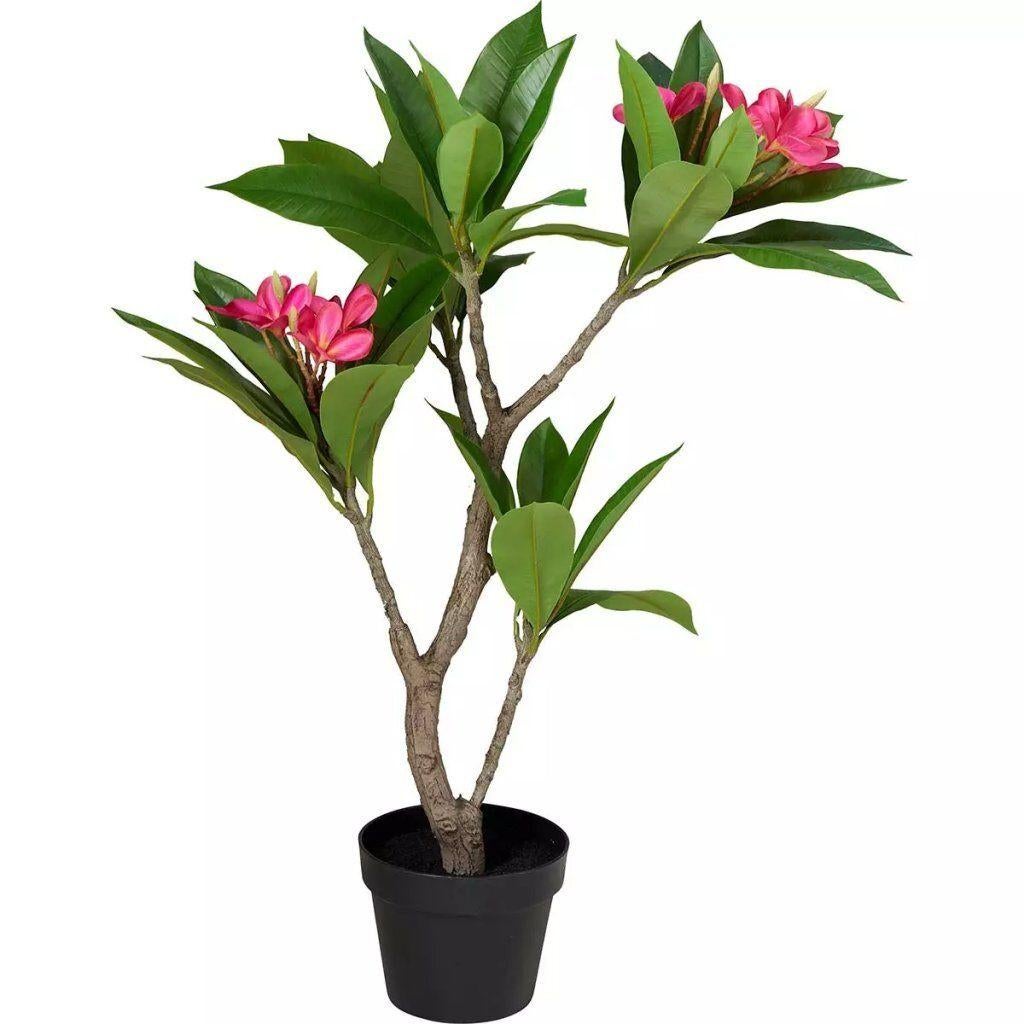 Kunstplant Plumeria 50x90 cm Roze/Groen, Ophalen, Binnen, Home & Styling, Home & Styling