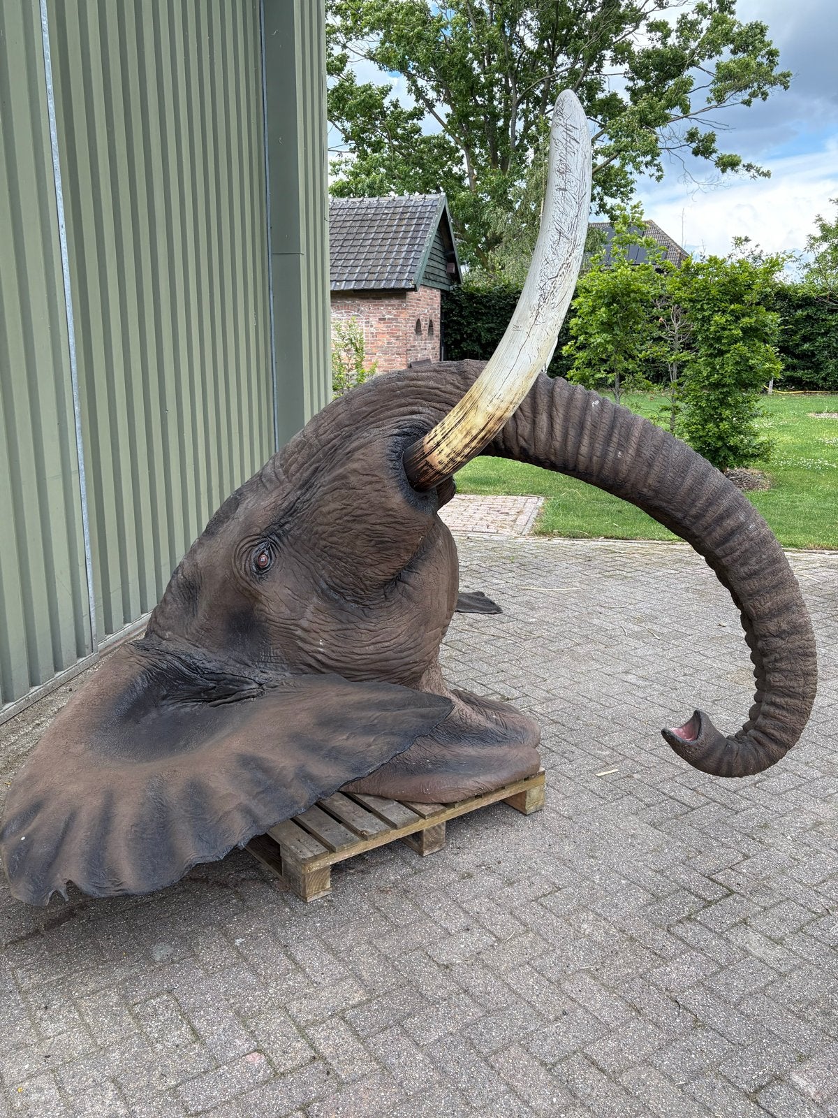 Indrukwekkende olifantenkop replica - levensgroot, Ophalen, Weerbestendig, Meer dan 2 meter, Kunststof