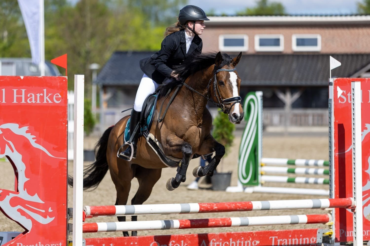 Mooie, eerlijke 9 jarige e-pony (merrie), Dieren en Toebehoren, Pony's, Merrie, B, E pony (1.48m - 1.57m), 7 tot 10 jaar