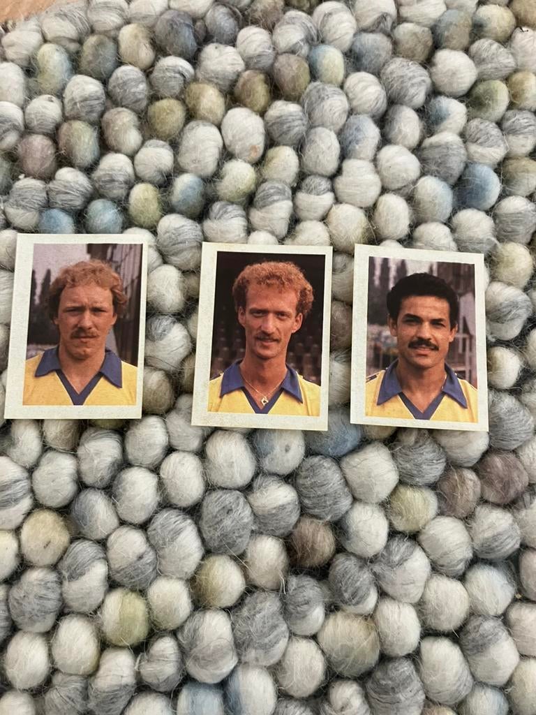 DS 79 panini vanderhout 1981-1982, Verzamelen, Ophalen of Verzenden, Gebruikt, Buitenlandse clubs, Poster, Plaatje of Sticker