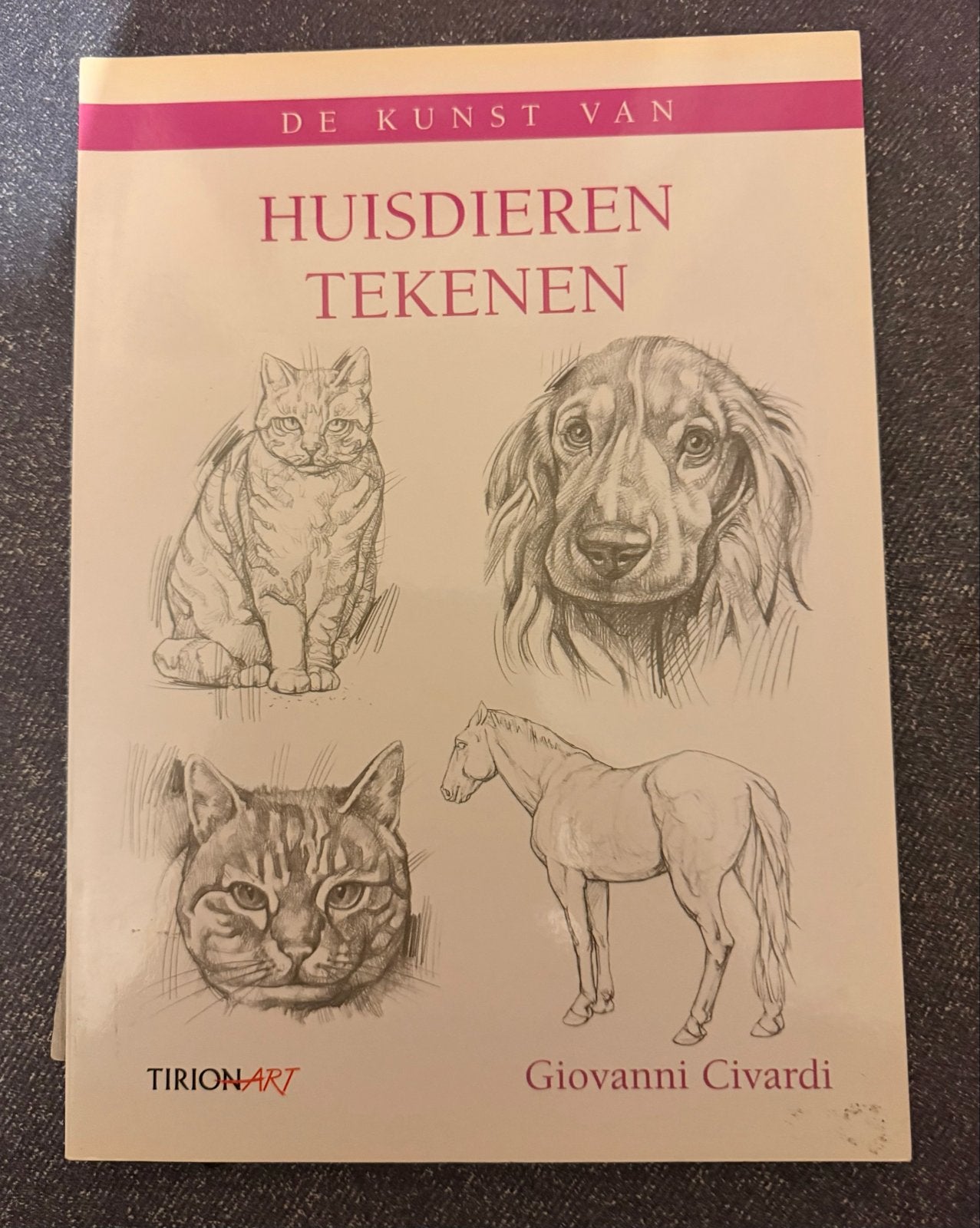 De Kunst van Huisdieren Tekenen - Giovanni Civardi, Ophalen of Verzenden, Gelezen, Tekenen en Schilderen