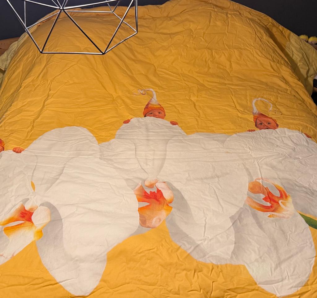 Sprei / deken van Anne Geddes, Ophalen, Overige kleuren, Overige maten, Deken of Dekbed