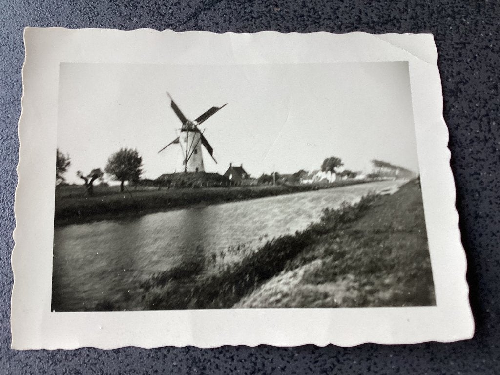 Damme Molen. (Fotootje), Verzenden, 1940 tot 1960, Ongelopen, België en Luxemburg