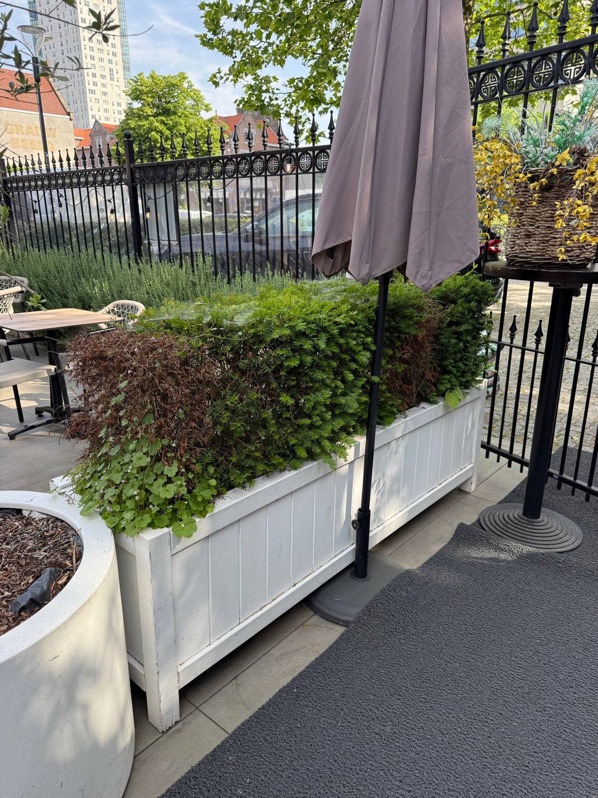 Grote witte houten plantenbak voor buiten (incl. planten), Gebruikt, 100 cm of meer, Balkon, Ophalen of Verzenden