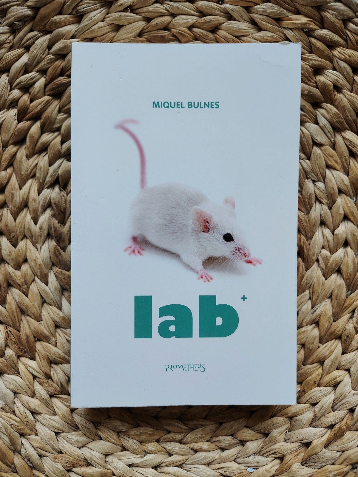 Miquel Bulnes - Lab, Ophalen of Verzenden, Zo goed als nieuw