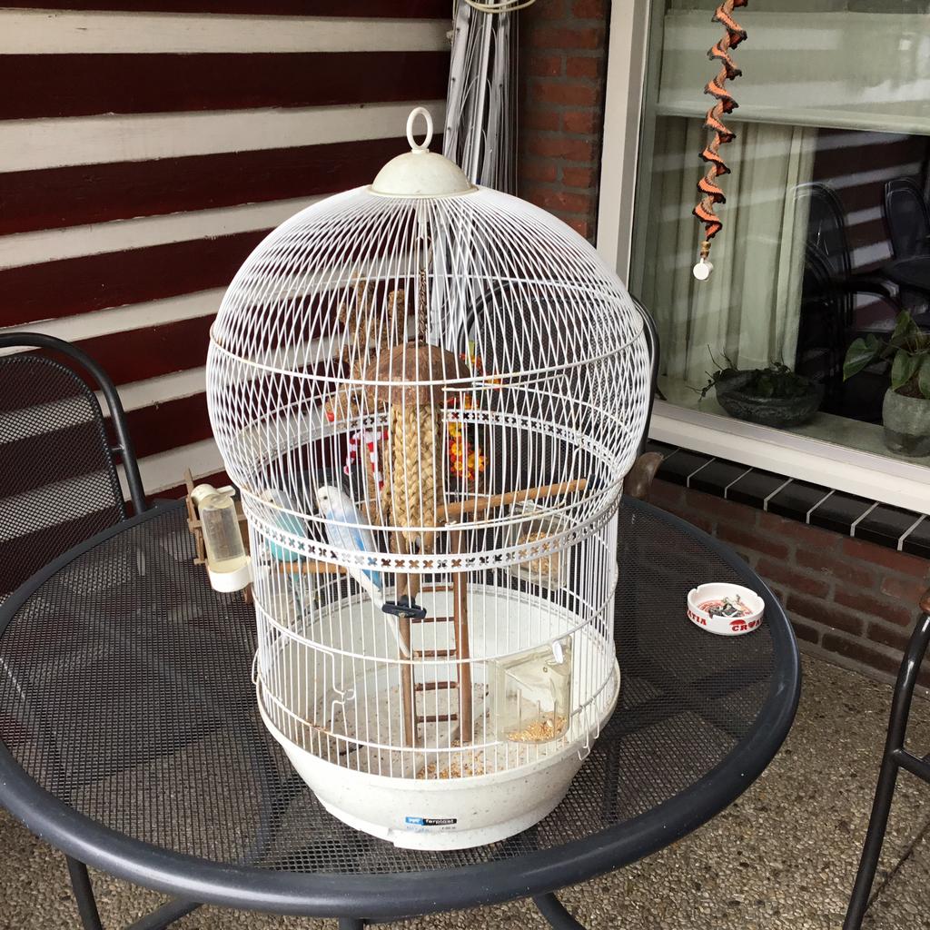 Parkieten met kooi