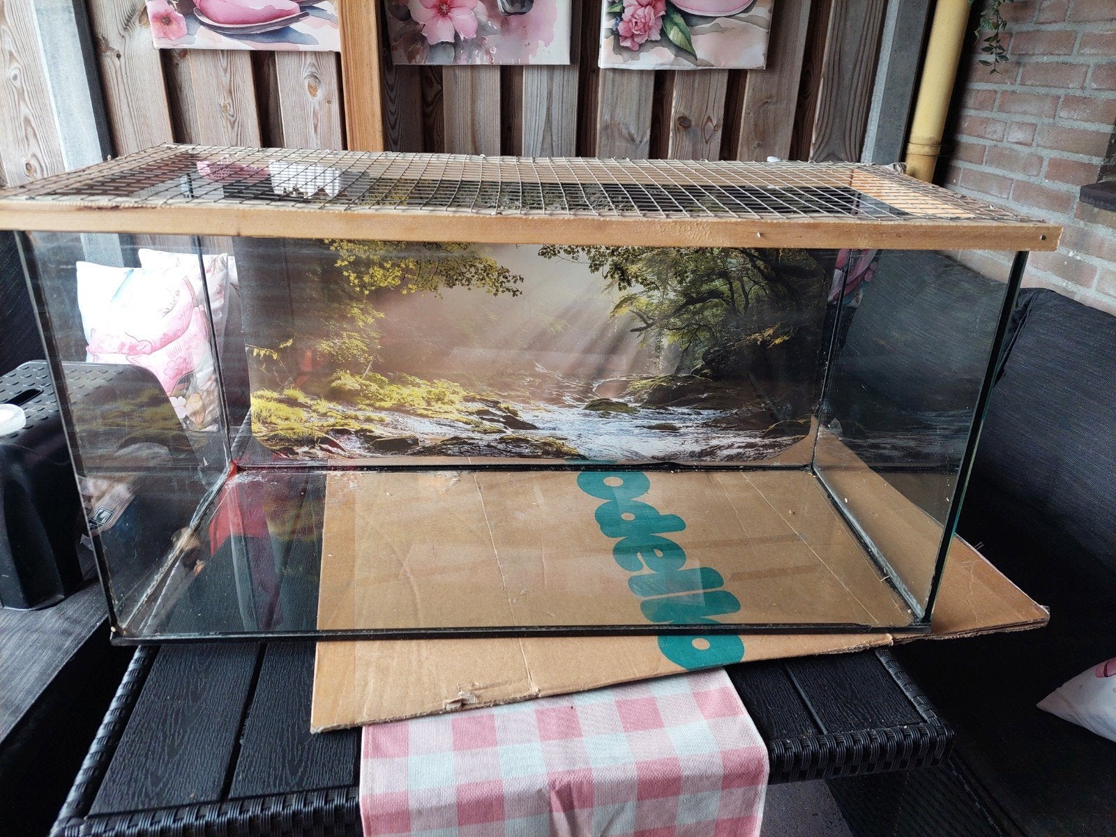hamster kooi, Dieren en Toebehoren, Knaagdieren en Konijnen | Hokken en Kooien, Minder dan 60 cm, Kooi, Gebruikt, Ophalen of Verzenden
