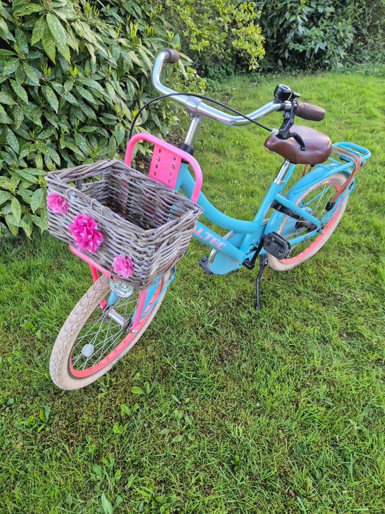 Altec Meisjesfiets 20 inch - Turquoise/Roze met Mandje, Ophalen, Terugtraprem, Altec, Gebruikt