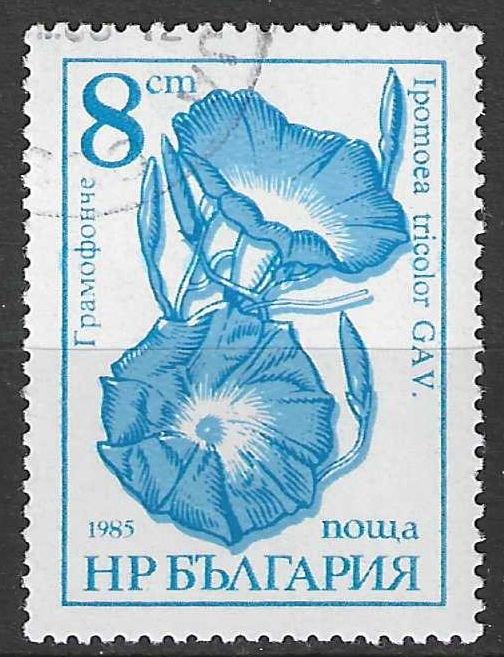 Bulgarije 1986 - Yvert 3024 - Ipomoea tricolor - 8 s. (ST), Verzenden, Bulgarije, Gestempeld