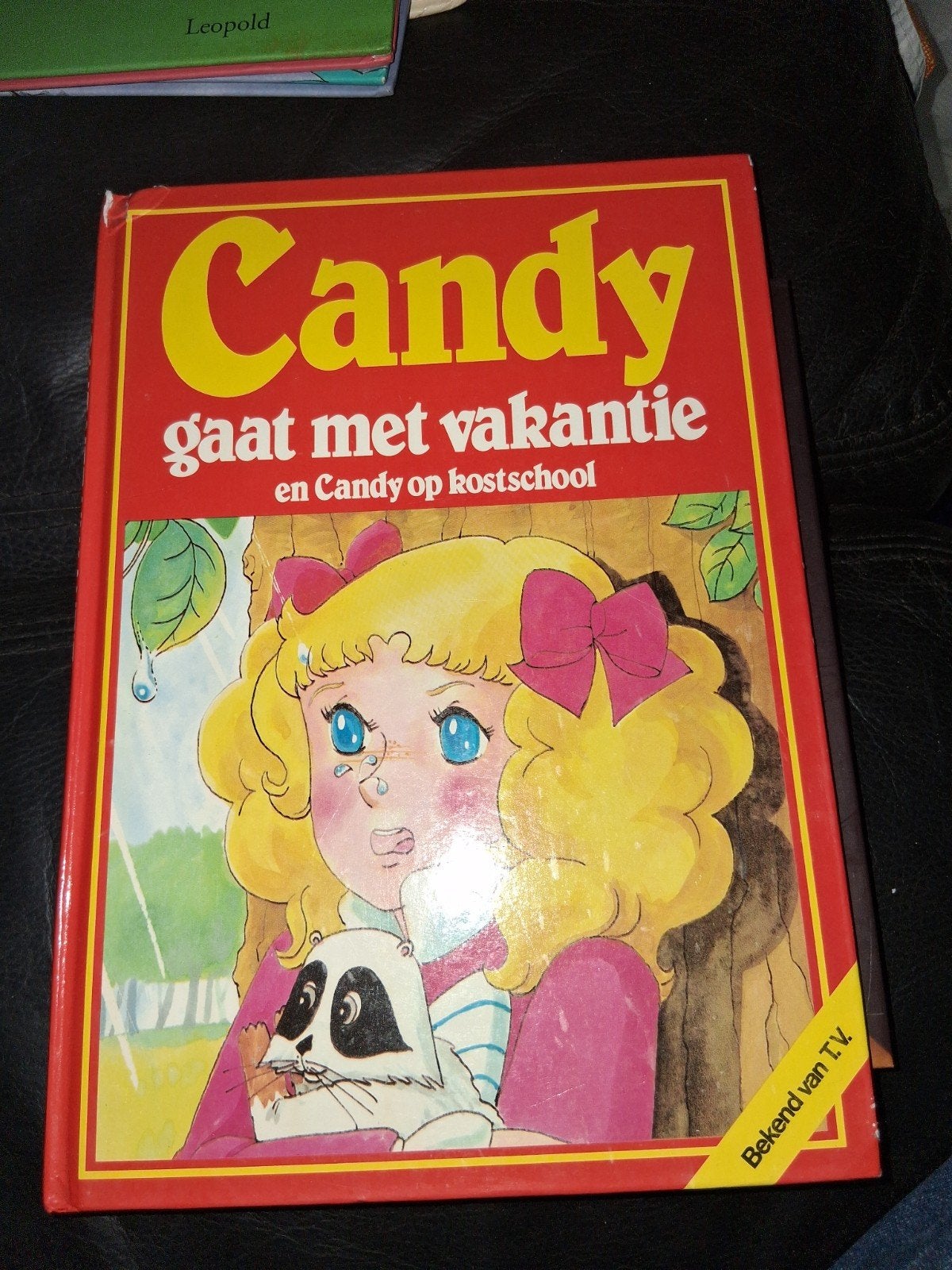 Candy gaat met vakantie en Candy op kostschool, Ophalen of Verzenden, Gelezen, Onbekend, Fictie algemeen