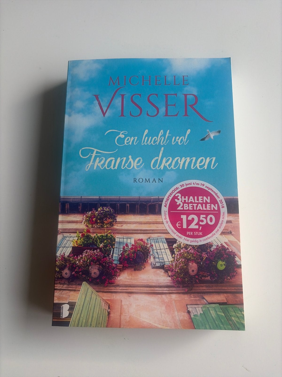 Een lucht vol Franse dromen - Michelle Visser, Boeken, Ophalen of Verzenden, Gelezen, Nederland
