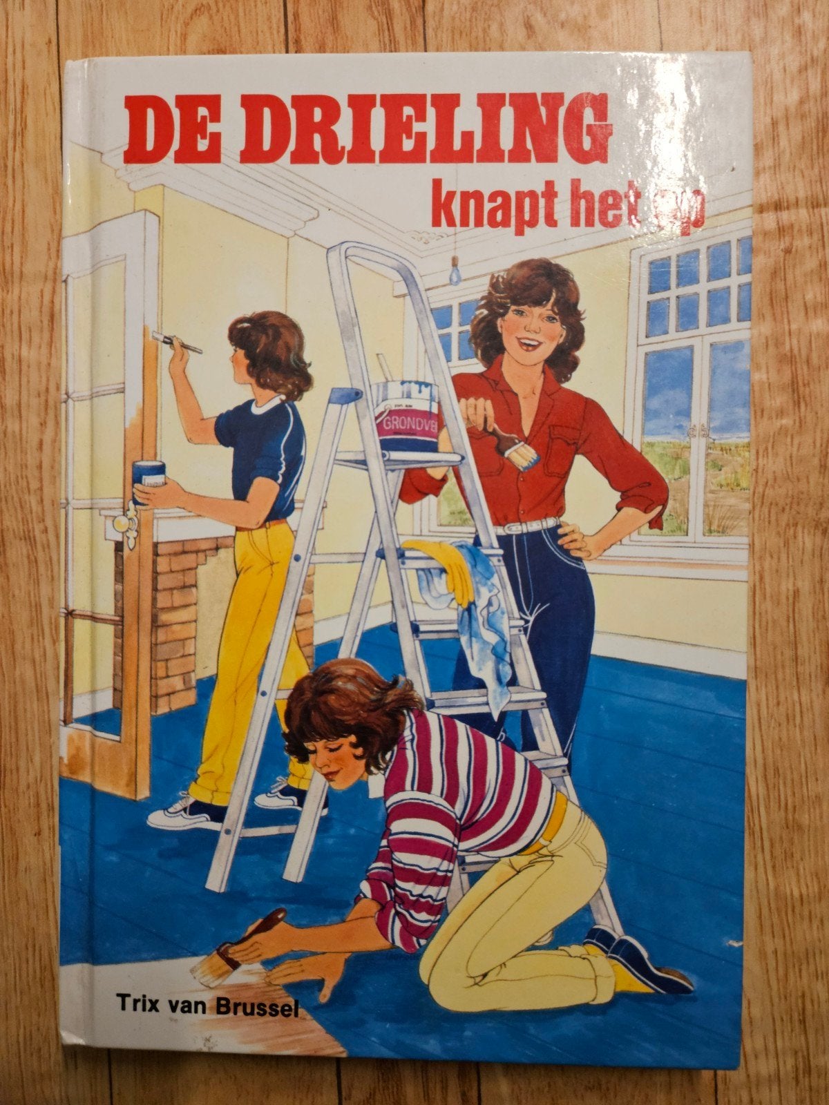 Trix van Brussel, de drieling knapt het op, Ophalen of Verzenden, Zo goed als nieuw, Trix van Brussel
