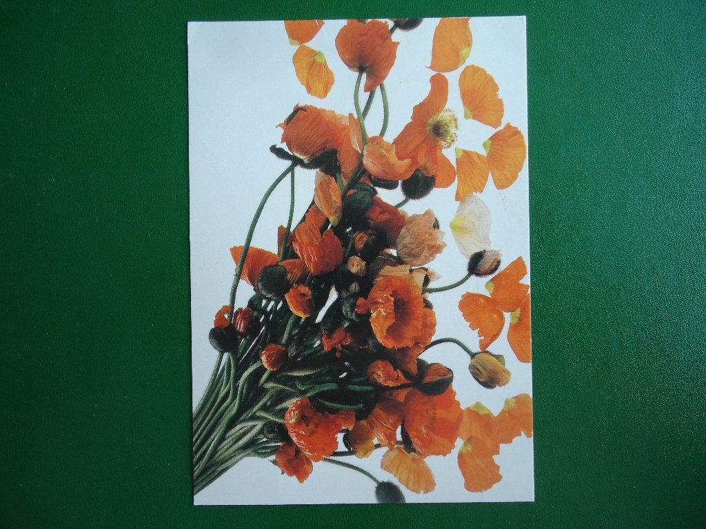 (1751) Bloemenkaart / Foto PAUL HUF, Verzenden, 1980 tot heden, Gelopen, Overige thema's