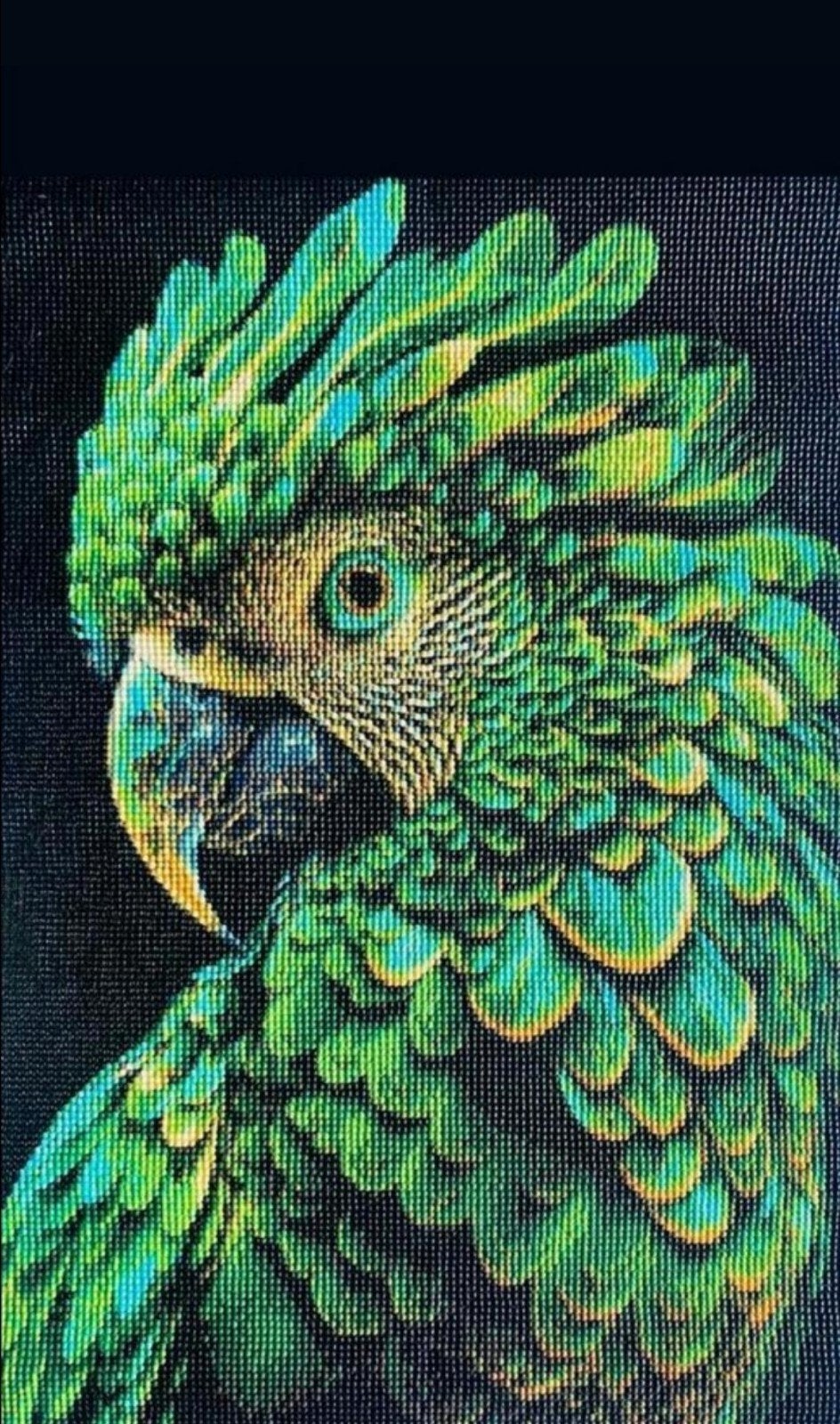 Diamond Painting Papegaai - 55x35 cm, Nieuw, Ophalen of Verzenden, Amersfoort, Heavenlysoap1975@hotmail.com